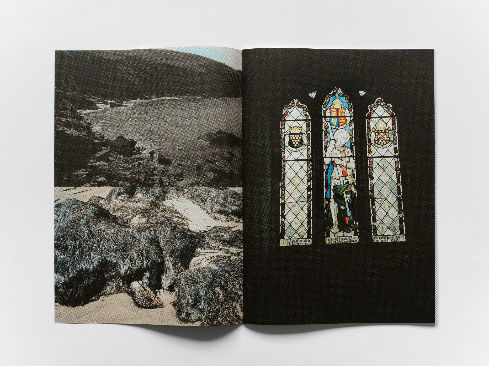 Load image into Gallery viewer, Afternoon's Darkness: Special Edition