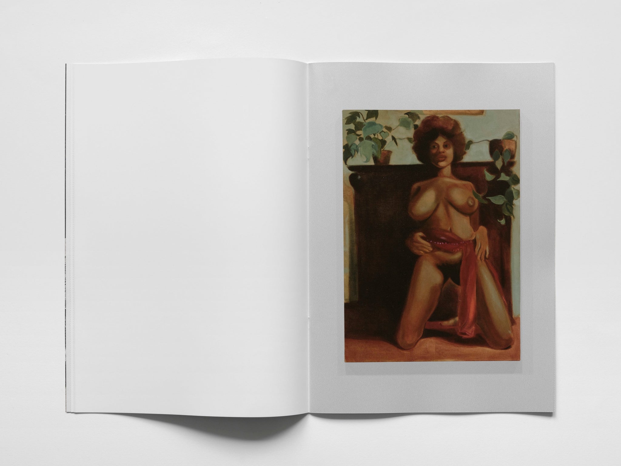 Load image into Gallery viewer, Afternoon's Darkness: Special Edition