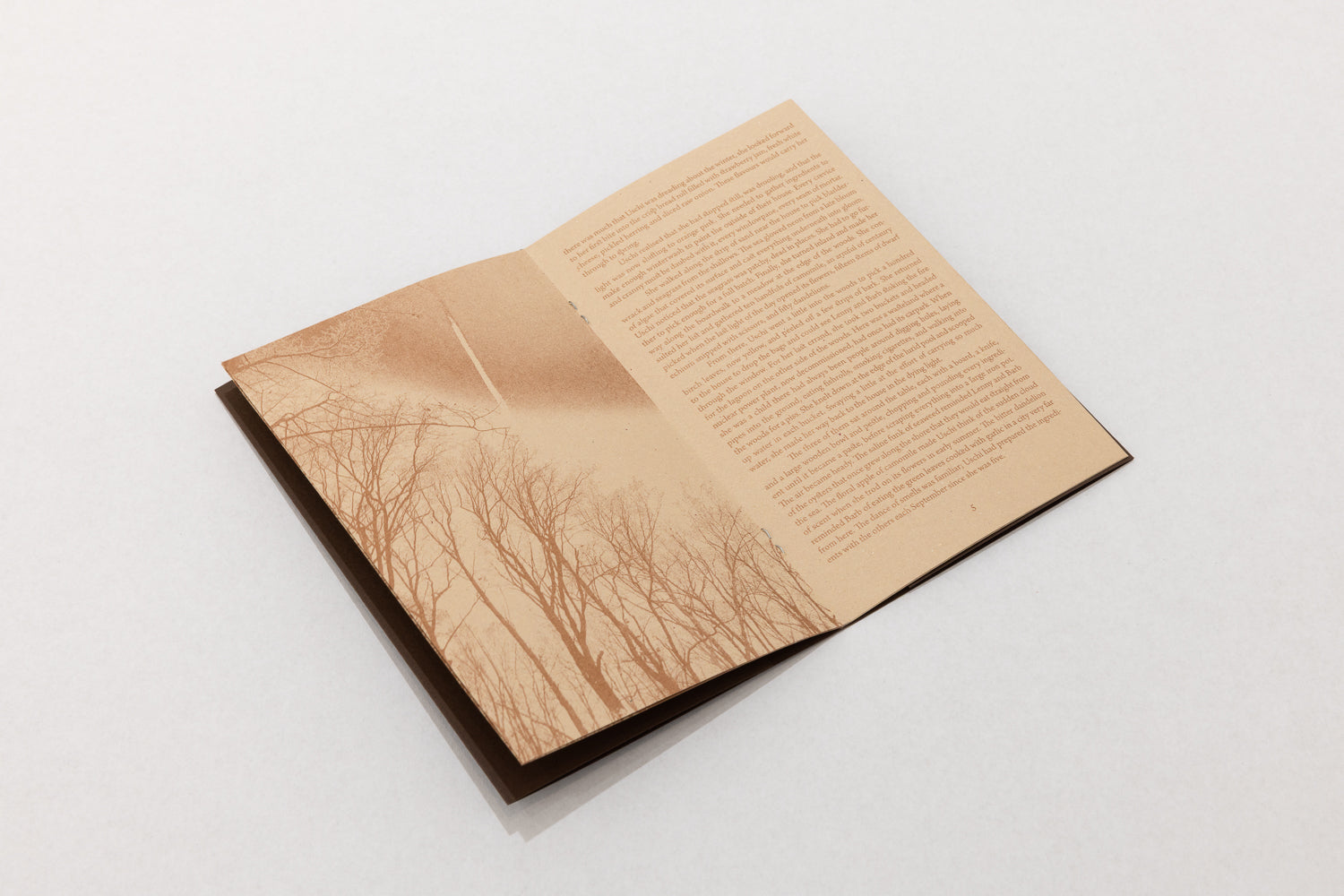 Load image into Gallery viewer, Winterwashing